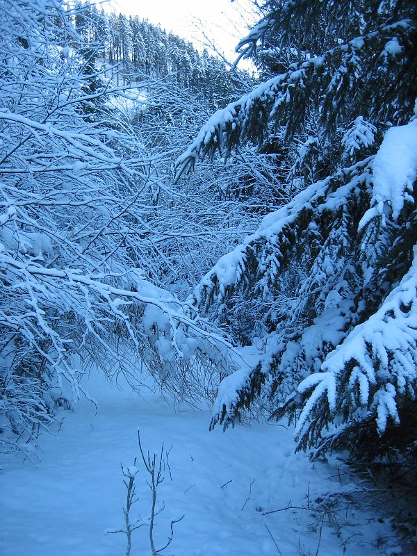 2010 01 16 A